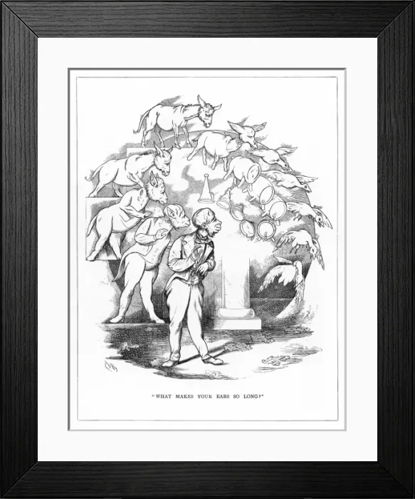 Framed Print : Origin Species, CH Bennett, Fool - donkey Framed Print : Origin Species, CH Bennett, Fool - donkey