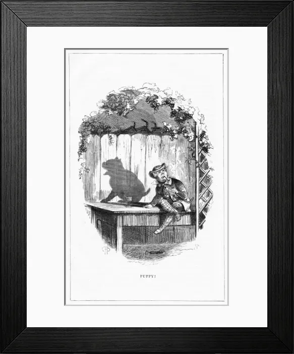 Framed Print : Shadow drawing. C. H. Bennett, Puppy Framed Print : Shadow drawing. C. H. Bennett, Puppy