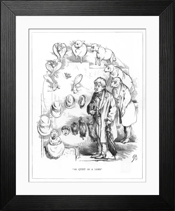 Framed Print : Origin Species, CH Bennett, Quiet man - lamb Framed Print : Origin Species, CH Bennett, Quiet man - lamb