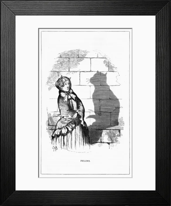 Framed Print : Shadow drawing. C. H. Bennett, Feline Framed Print : Shadow drawing. C. H. Bennett, Feline
