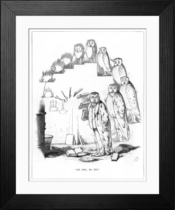 Framed Print : Origin Species, CH Bennett, Wit - owl Framed Print : Origin Species, CH Bennett, Wit - owl