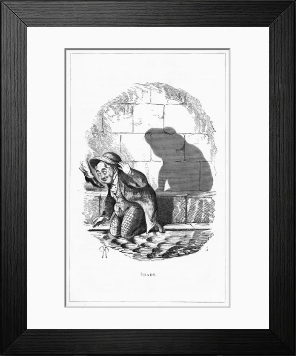 Framed Print : Shadow drawing. C. H. Bennett, Toady Framed Print : Shadow drawing. C. H. Bennett, Toady