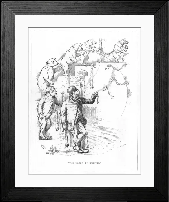 Framed Print : Origin Species, CH Bennett, Crook - bear Framed Print : Origin Species, CH Bennett, Crook - bear