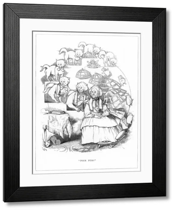 Framed Print : Origin Species, CH Bennett, Cat - Old Maid Framed Print : Origin Species, CH Bennett, Cat - Old Maid