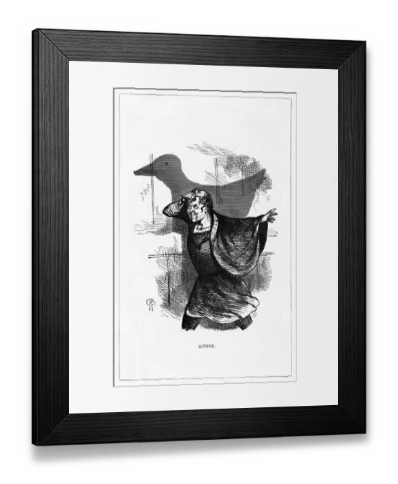 Framed Print : Shadow drawing. C. H. Bennett, Goose Framed Print : Shadow drawing. C. H. Bennett, Goose