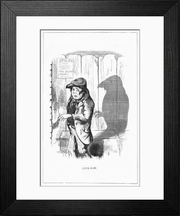 Framed Print : Shadow drawing. C. H. Bennett, Jack-Daw Framed Print : Shadow drawing. C. H. Bennett, Jack-Daw