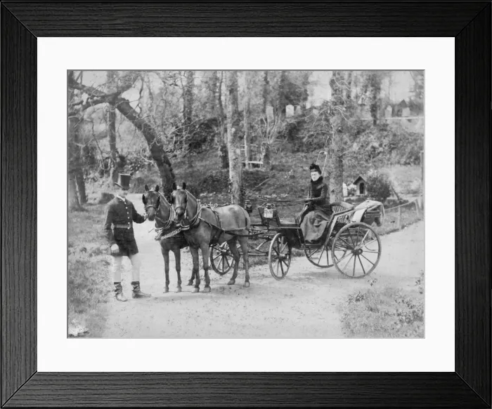 Framed Print : Lady holding the reins Framed Print : Lady holding the reins