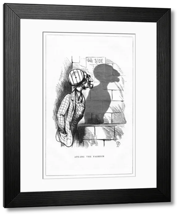 Framed Print : Shadow drawing. C. H. Bennett, Ape-ing the Fashion Framed Print : Shadow drawing. C. H. Bennett, Ape-ing the Fashion