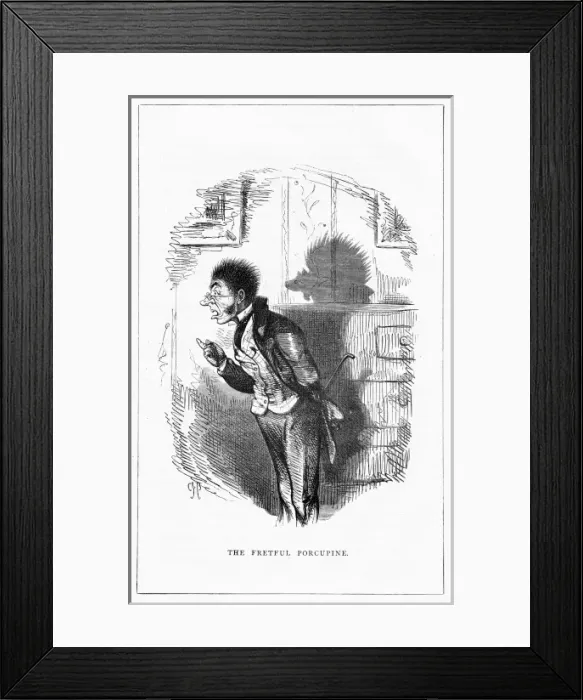 Framed Print : Shadow drawing. C. H. Bennett, Porcupine Framed Print : Shadow drawing. C. H. Bennett, Porcupine