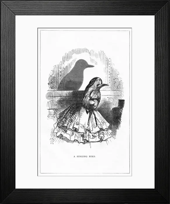 Framed Print : Shadow drawing. C. H. Bennett Framed Print : Shadow drawing. C. H. Bennett