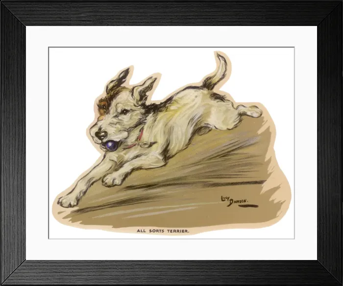 Framed Print : Dogs, Terrier, Dawson Framed Print : Dogs, Terrier, Dawson