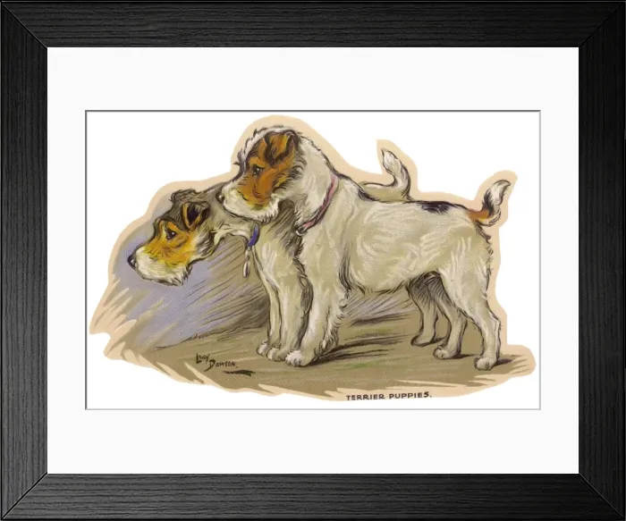 Framed Print : Dogs, Terrier puppies, Dawson Framed Print : Dogs, Terrier puppies, Dawson