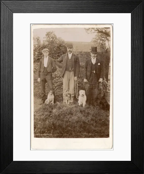 Framed Print : Three Victorian men with four assorted dogs Framed Print : Three Victorian men with four assorted dogs