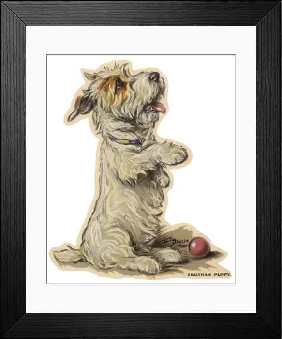Framed Print : Dogs, Sealyham, Dawson Framed Print : Dogs, Sealyham, Dawson