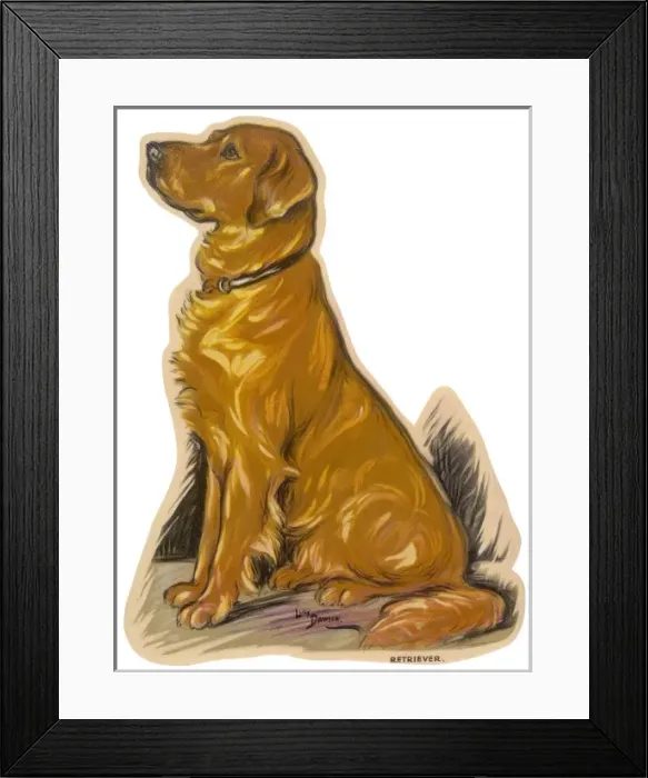 Framed Print : Dogs, Retriever, Dawson Framed Print : Dogs, Retriever, Dawson
