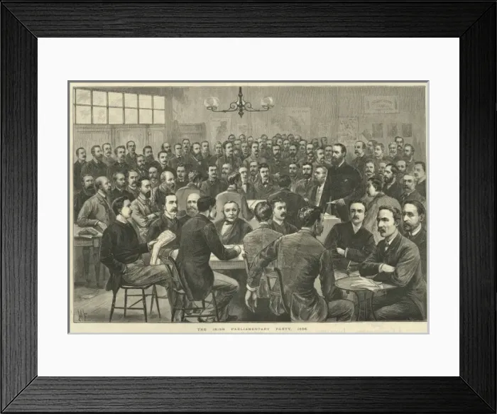 Framed Print : The Irish parliamentary party Framed Print : The Irish parliamentary party