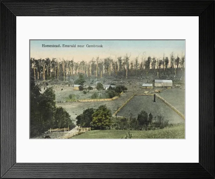 Framed Print : Gembrook, Australia Framed Print : Gembrook, Australia