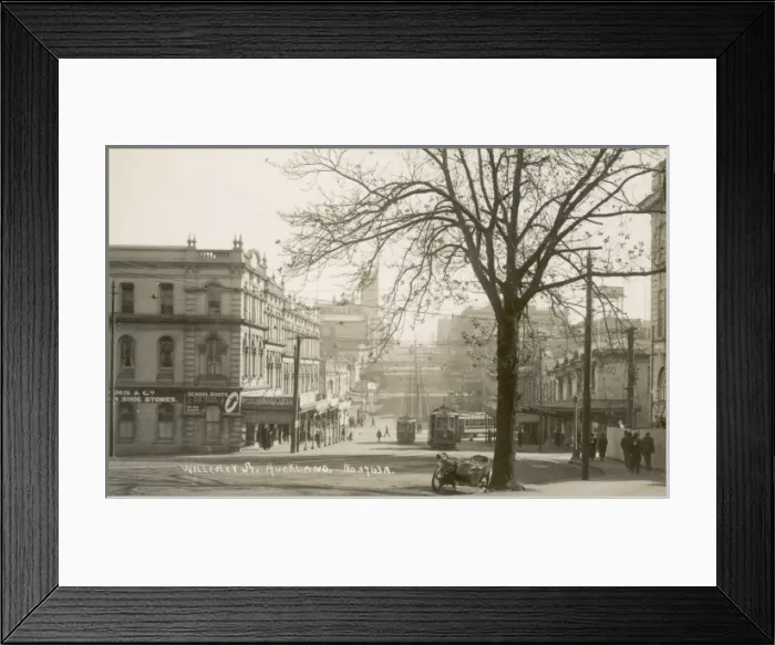 Framed Print : Auckland, New Zealand Framed Print : Auckland, New Zealand