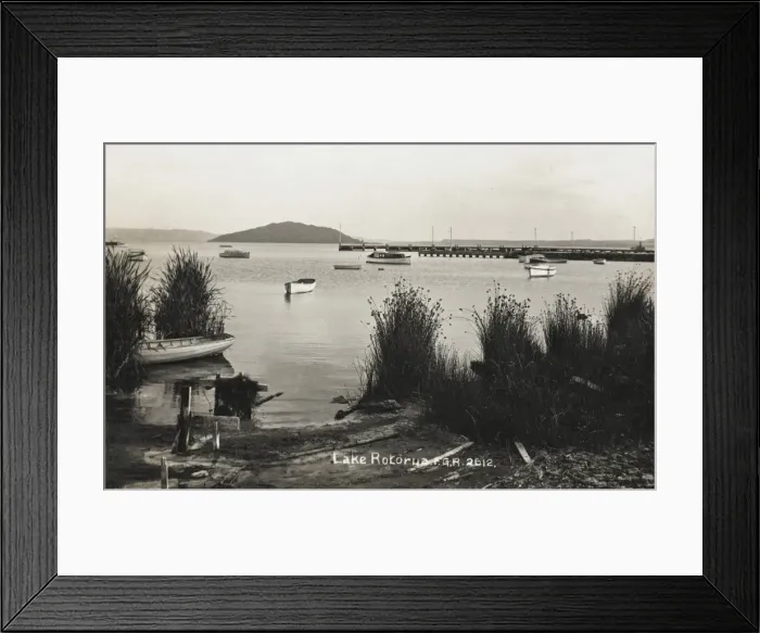 Framed Print : Lake Rotorua, New Zealand Framed Print : Lake Rotorua, New Zealand