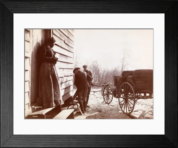 Framed Print : Quail Shooting Framed Print : Quail Shooting