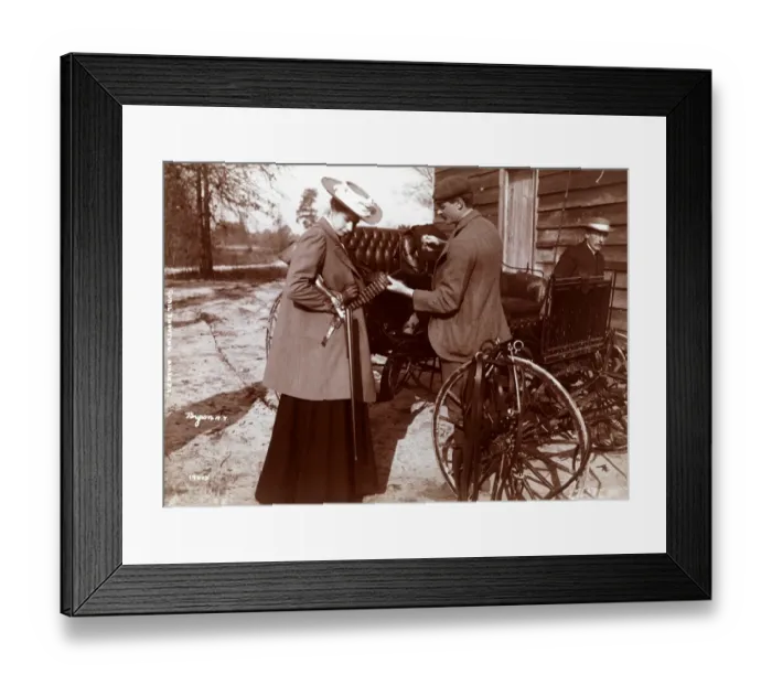 Framed Print : Quail Shooting Framed Print : Quail Shooting