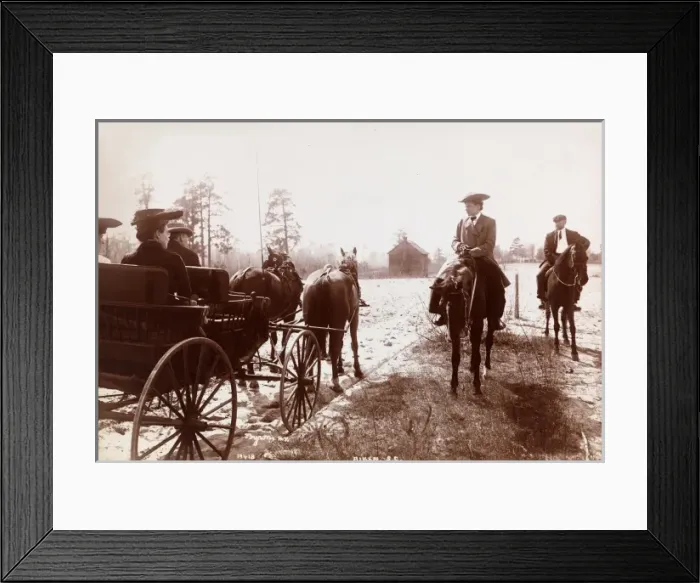Framed Print : Quail Shooting Framed Print : Quail Shooting