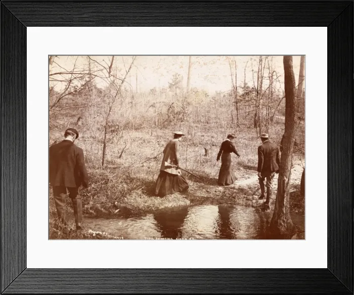 Framed Print : Quail Shooting Framed Print : Quail Shooting