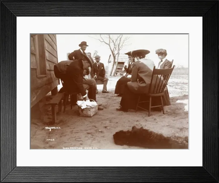 Framed Print : Quail Shooting