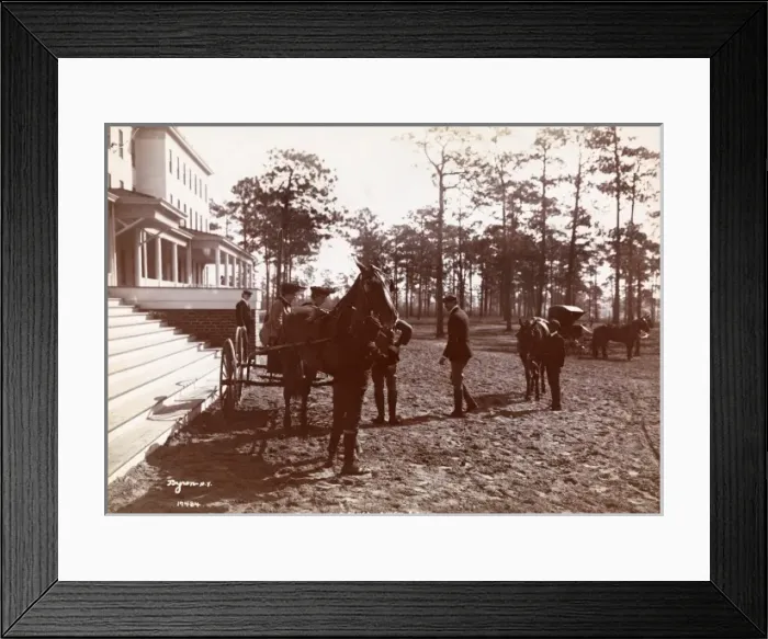Framed Print : Park in the Pines Framed Print : Park in the Pines