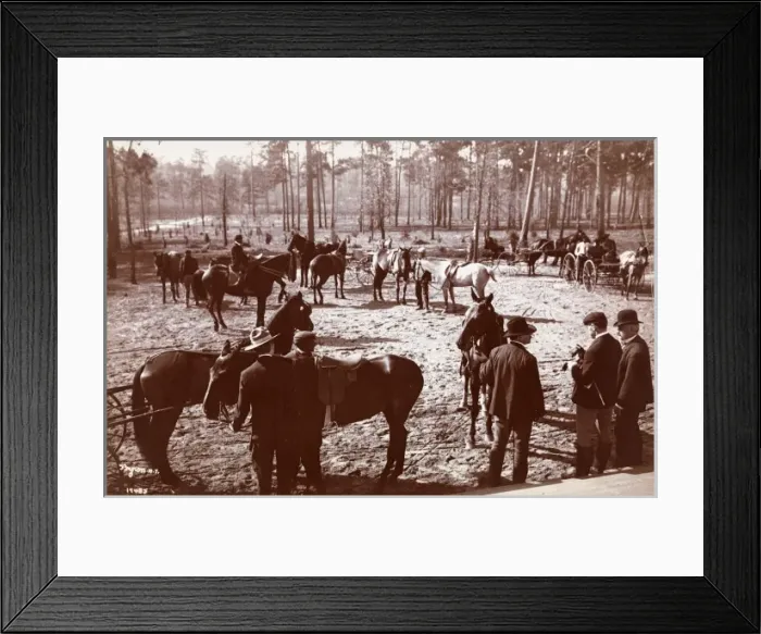 Framed Print : Park in the Pines Framed Print : Park in the Pines