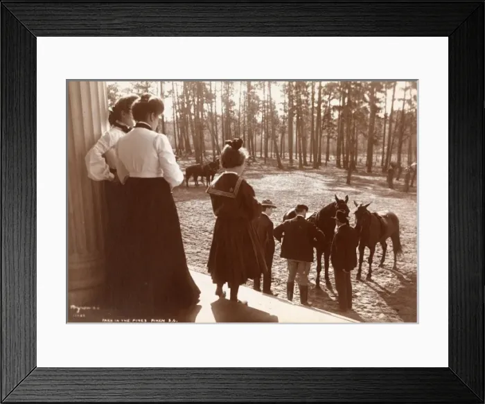 Framed Print : Park in the Pines Framed Print : Park in the Pines