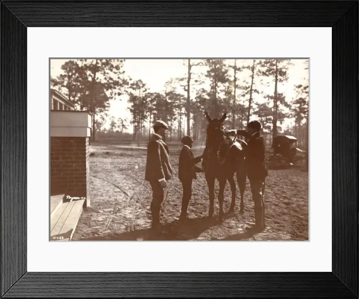Framed Print : Park in the Pines Framed Print : Park in the Pines