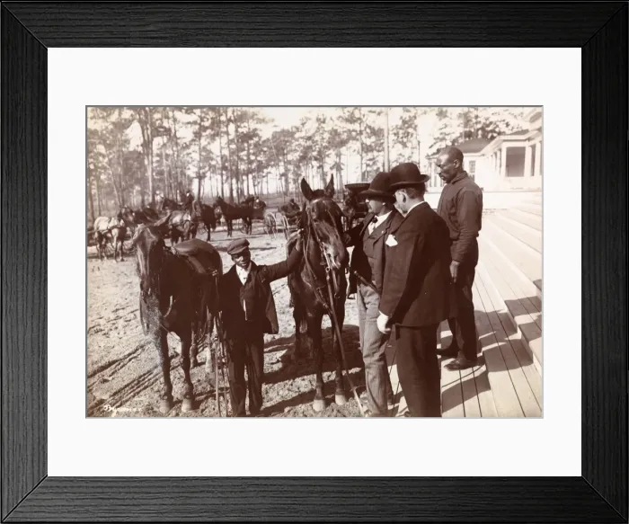 Framed Print : Park in the Pines Framed Print : Park in the Pines