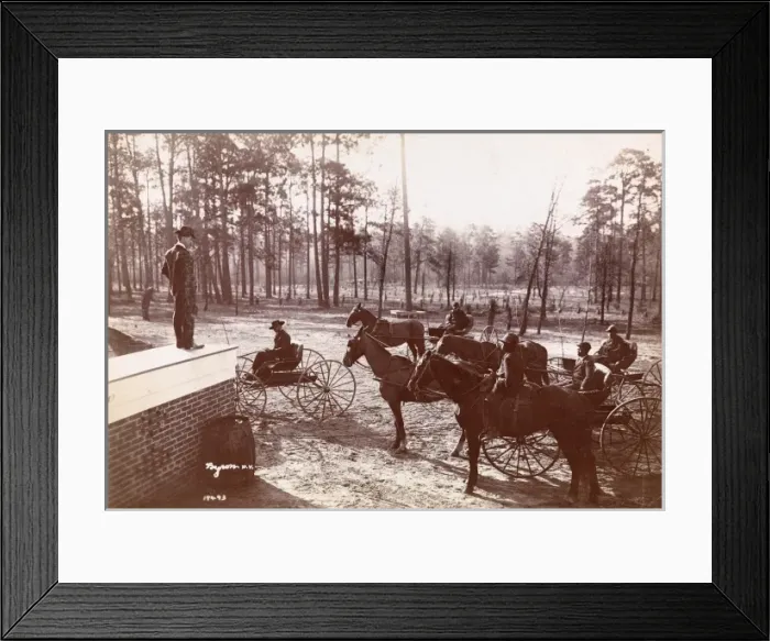 Framed Print : Park in the Pines Framed Print : Park in the Pines