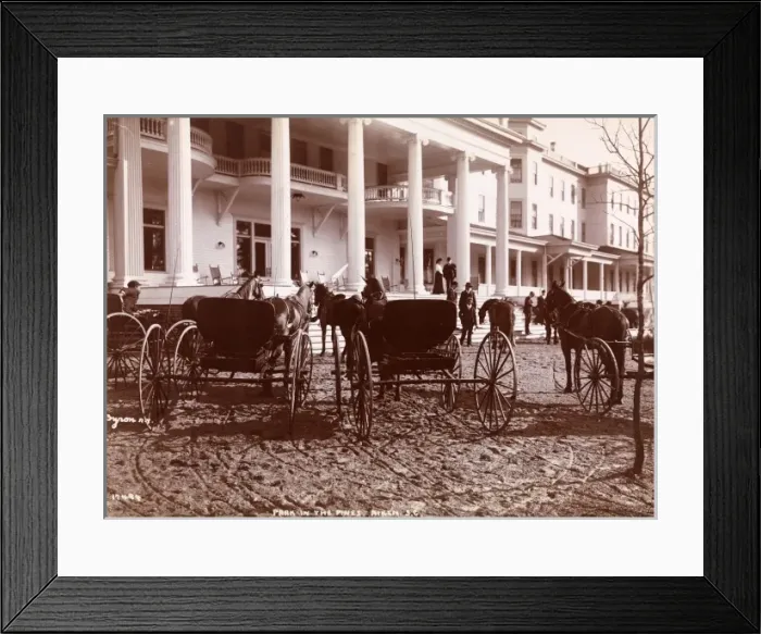 Framed Print : Park in the Pines Framed Print : Park in the Pines
