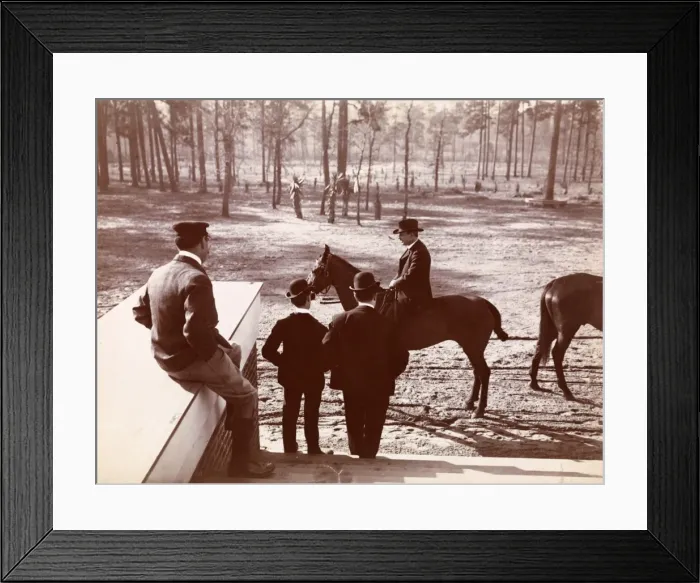 Framed Print : Park in the Pines Framed Print : Park in the Pines
