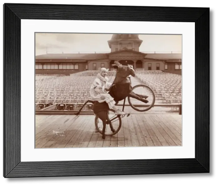 Framed Print : Stunt cyclist Framed Print : Stunt cyclist