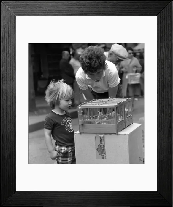 Framed Print : Picture No. 10493933 Framed Print : Picture No. 10493933