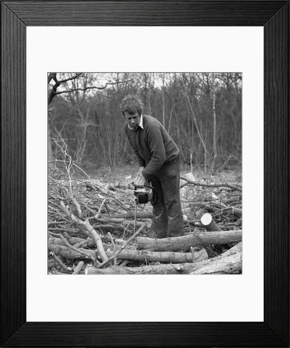 Framed Print : Picture No. 10494018 Framed Print : Picture No. 10494018