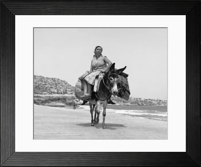 Framed Print : Picture No. 10493972 Framed Print : Picture No. 10493972