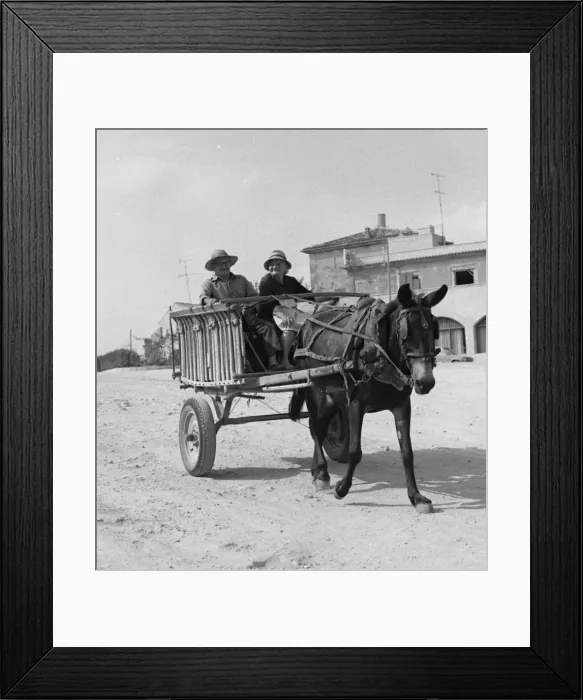 Framed Print : Picture No. 10493982 Framed Print : Picture No. 10493982