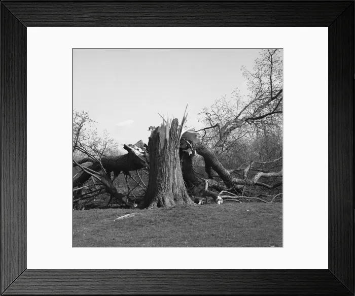 Framed Print : Picture No. 10493970 Framed Print : Picture No. 10493970