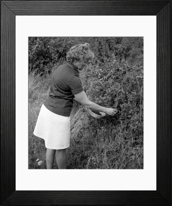 Framed Print : Picture No. 10493989 Framed Print : Picture No. 10493989