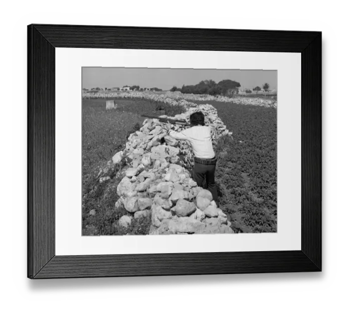 Framed Print : Picture No. 10493973 Framed Print : Picture No. 10493973