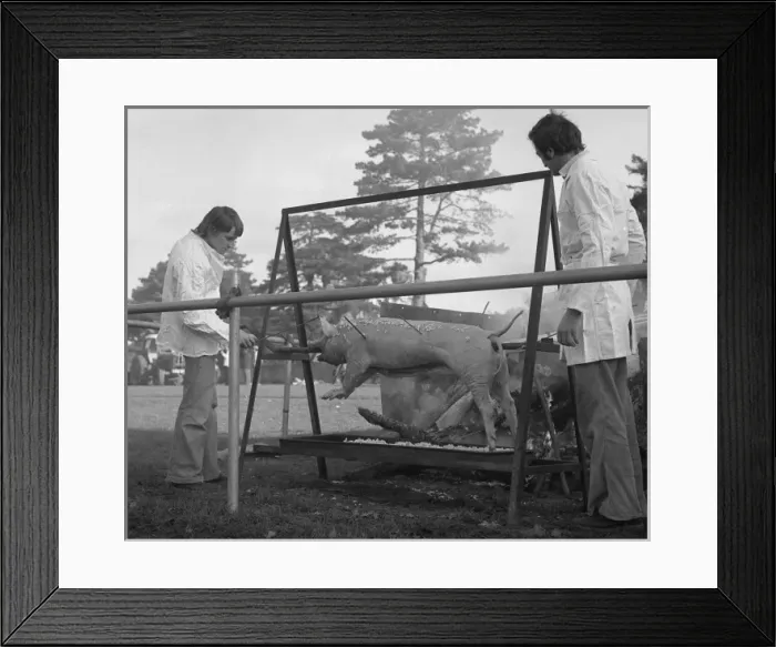 Framed Print : Picture No. 10494022 Framed Print : Picture No. 10494022