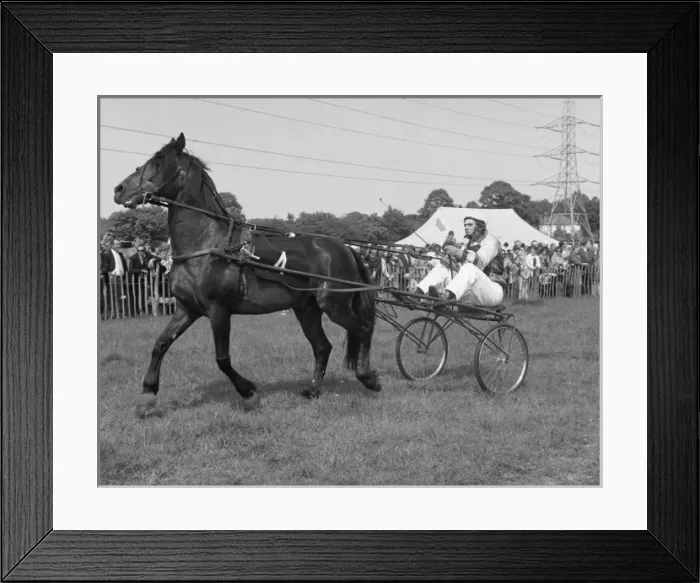 Framed Print : Picture No. 10493992 Framed Print : Picture No. 10493992