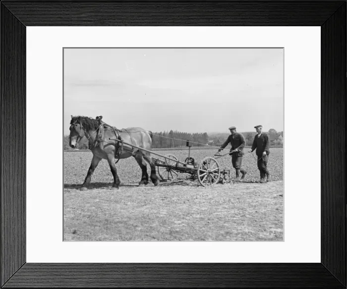Framed Print : Picture No. 10493950 Framed Print : Picture No. 10493950