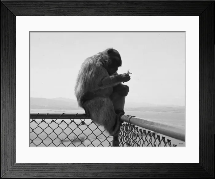 Framed Print : Picture No. 10493995 Framed Print : Picture No. 10493995