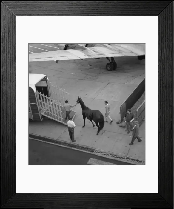 Framed Print : Picture No. 10493958 Framed Print : Picture No. 10493958