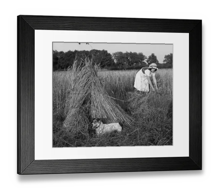 Framed Print : Picture No. 10494014 Framed Print : Picture No. 10494014
